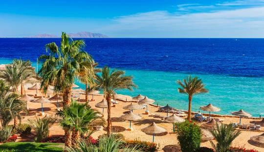 رحلات متنوعه